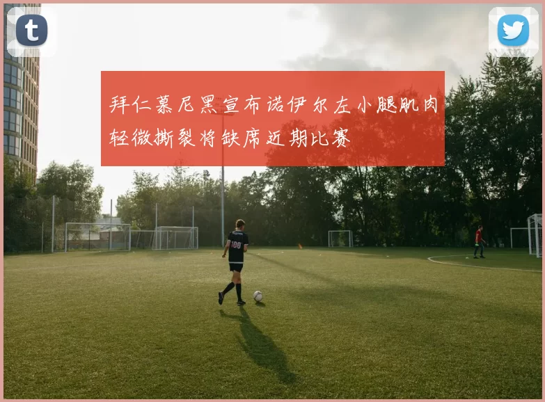 拜仁慕尼黑宣布诺伊尔左小腿肌肉轻微撕裂将缺席近期比赛